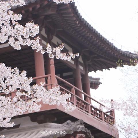 长安建材市场最新招聘信息及职业发展指南